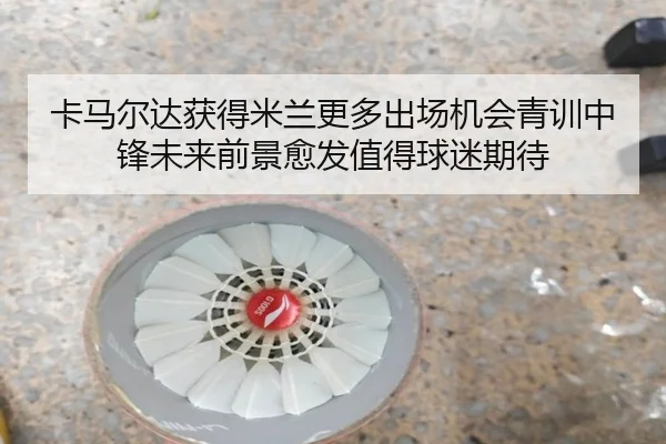 ka-ma-er-da-huo-de-mi-lan-geng-duo-chu-chang-ji-hui-qing-xun-zhong-feng-wei-lai-qian-jing-yu-fa-zhi-de-qiu-mi-qi-dai-2-875.jpg